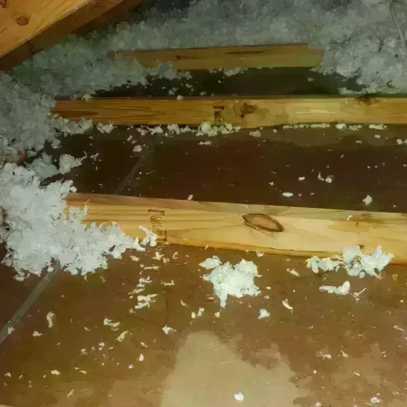 Attic Water Damage in Tulare, CA